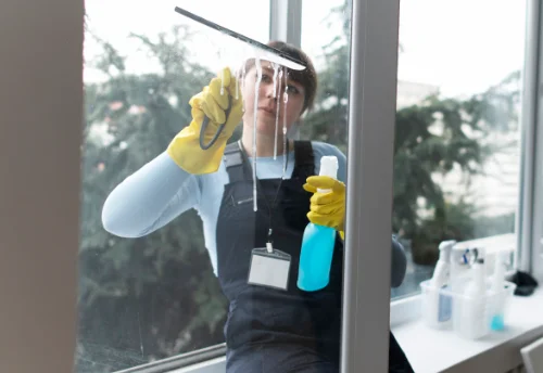 Nettoyage de vitres intérieures et extérieures à Feins